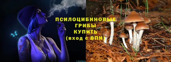 гидропоника Зерноград